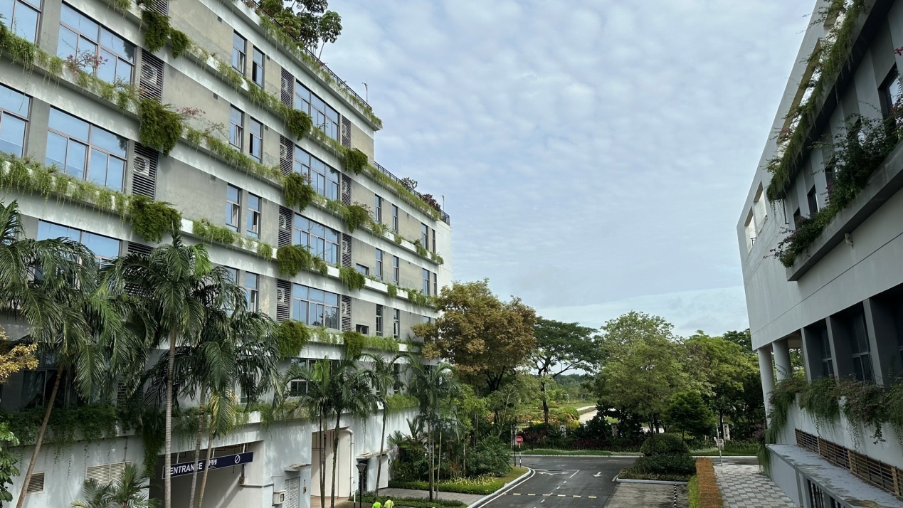 森林城市国际学校