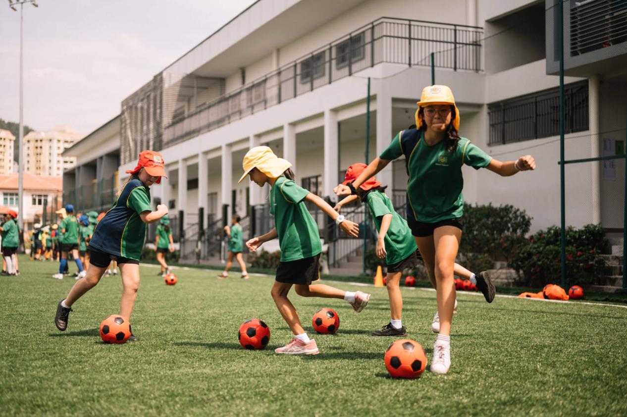 威尔斯王子岛国际学校